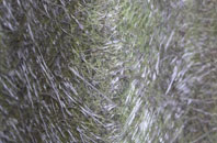 The Howe fibreglass roof work